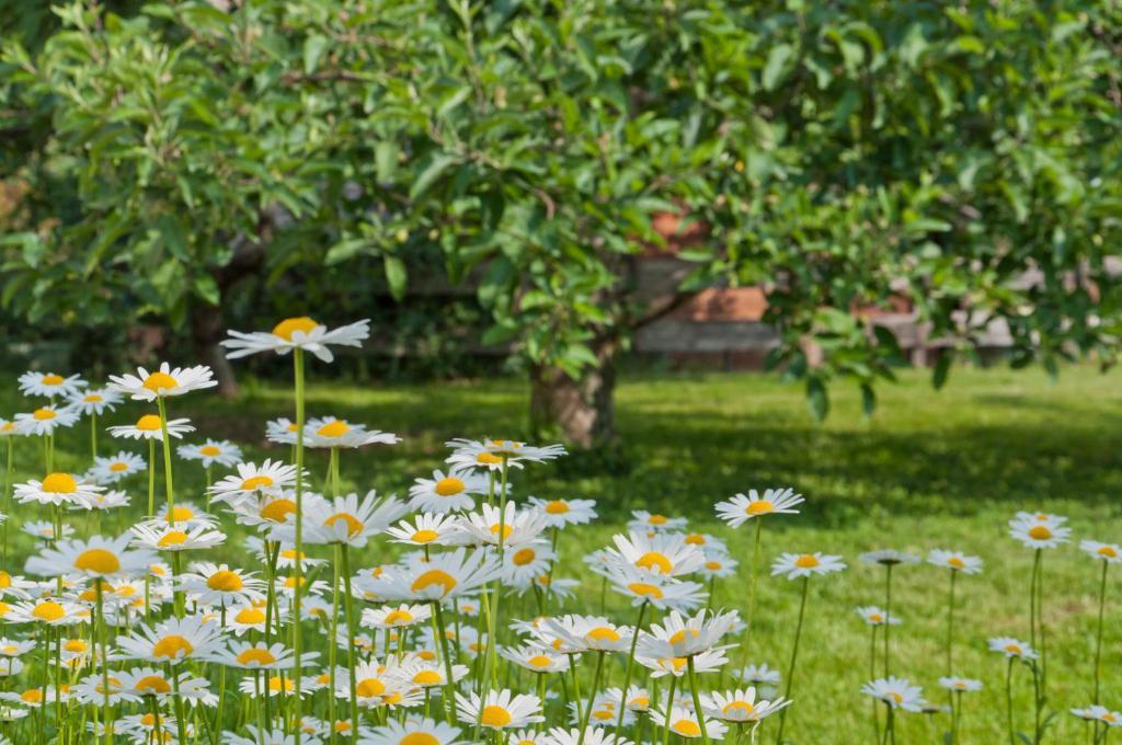 Haus Christl Bed and Breakfast Lana Buitenkant foto